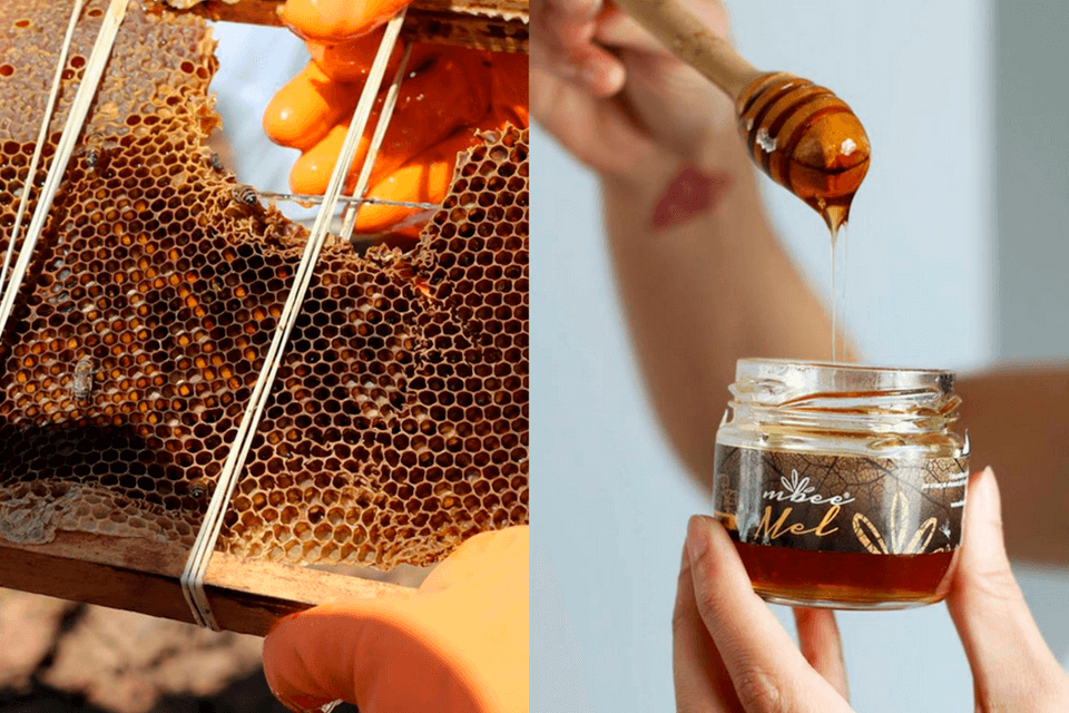 Azeite e mel: uma boa combinação gastronômica