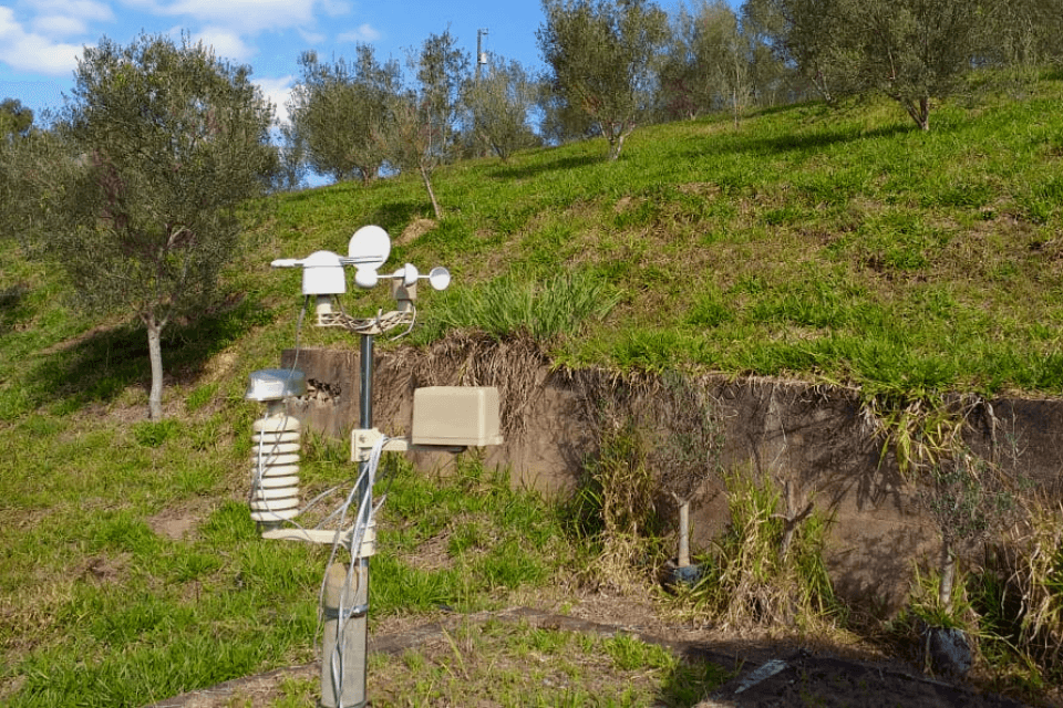 Estação meteorológica no olival