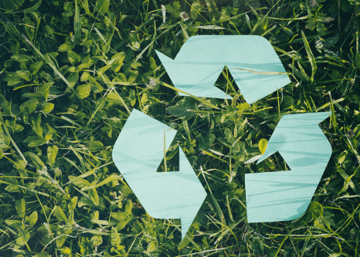 Azeitona e reciclagem: combinação que faz bem à natureza.